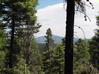 Lot 34 Taos Pines Ranch Road